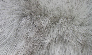 羊毛　スペインラビット　ブルーフォックス　グリーン　コート　毛皮